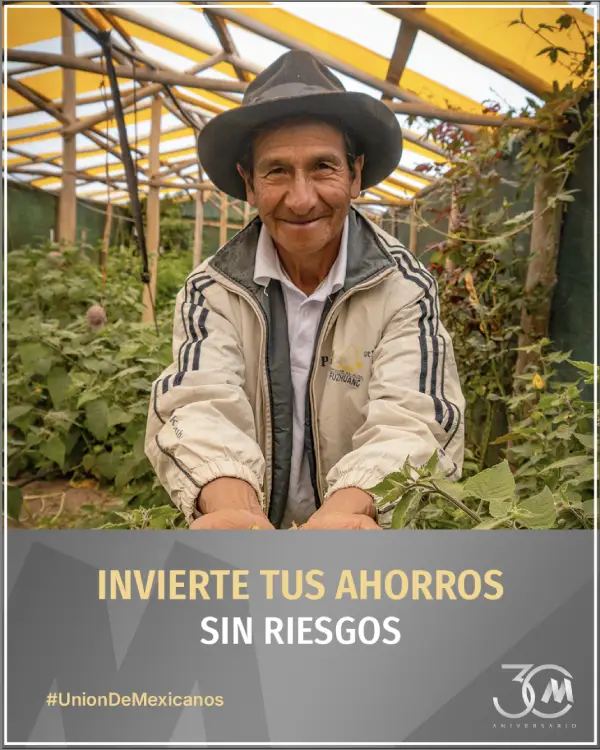 Caso de estudio UCM SOCIAL MEDIA